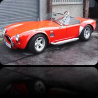 orange Cobra
