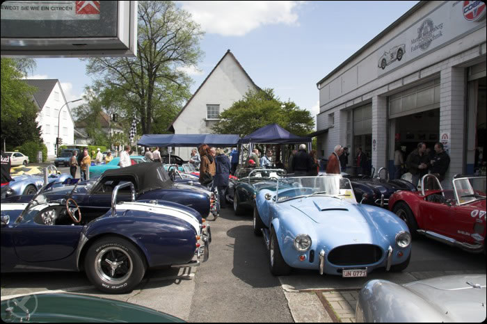 Cobras beim treffen
